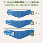 Pfotenfux Kühlhalsband
