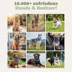 Pfotenfux Kühlhalsband