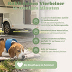 Pfotenfux Kühlhalsband