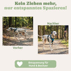 PfotenFux Anti-Zieh-Geschirr