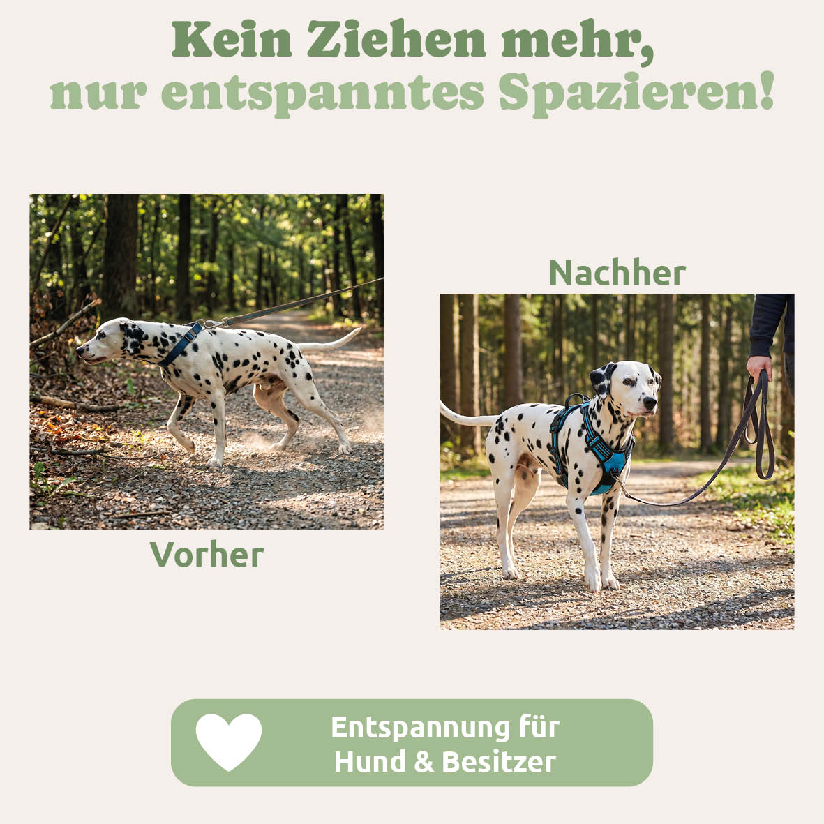 PfotenFux Anti-Zieh-Geschirr