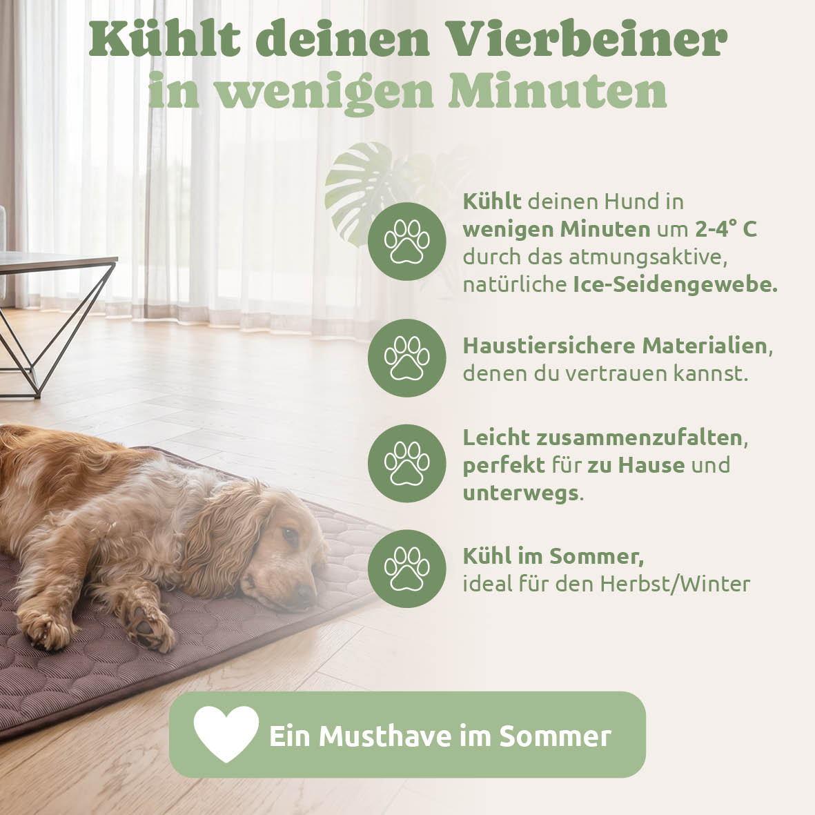 PfotenFux Kühlmatte