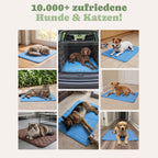PfotenFux Kühlmatte