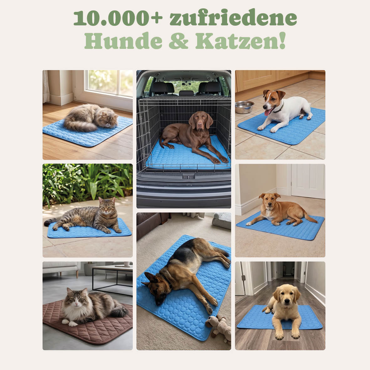 PfotenFux Kühlmatte