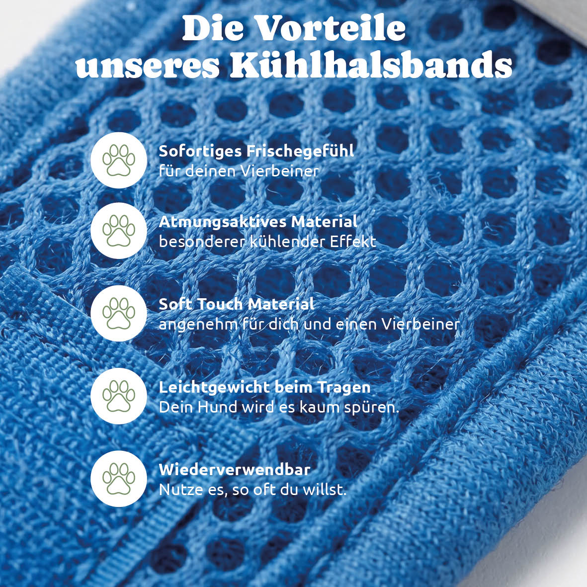 Pfotenfux Kühlhalsband