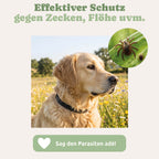Bio Schutz Parasitenband