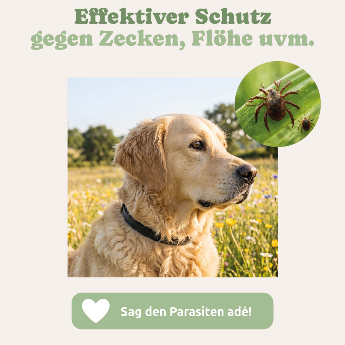 Bio Schutz Parasitenband